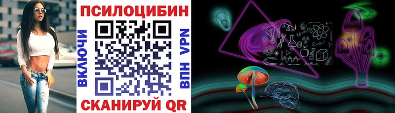 Псилоцибиновые грибы Psilocybe  Черногорск 